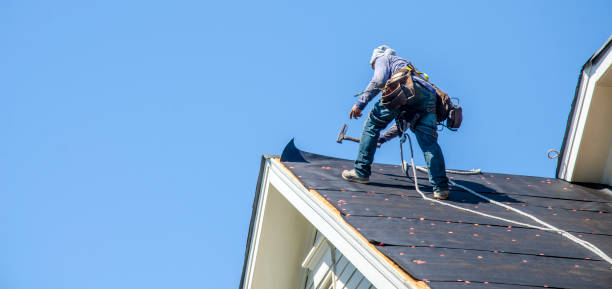 Best Roof Maintenance Services  in Browns Point, WA